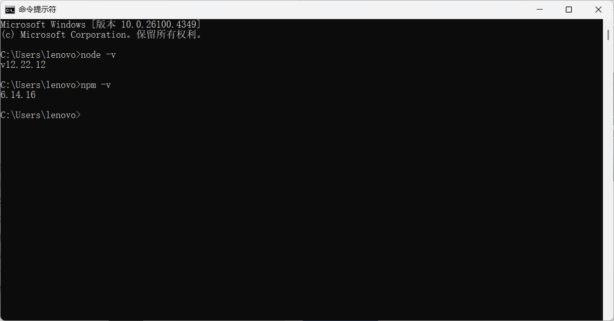 验证nodejs